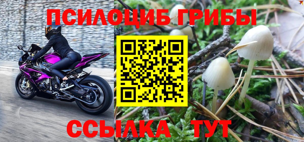 Выкса  Галлюциногенные грибы мицелий  Вход с VPN 